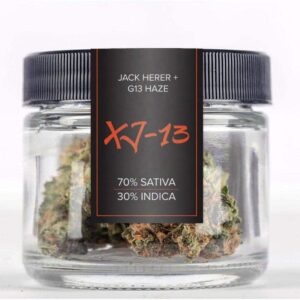 Order XJ-13 strain